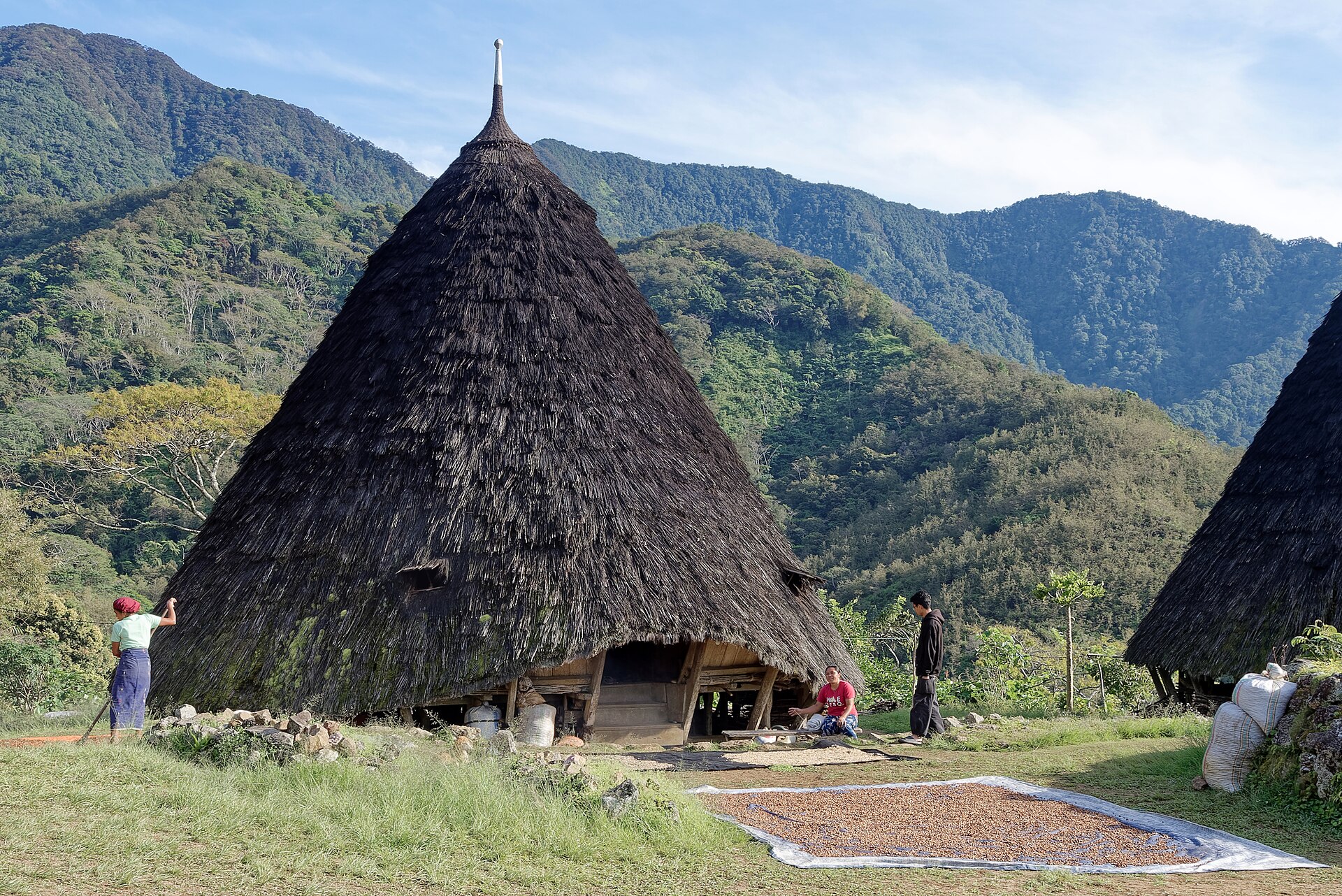 Traditional villages